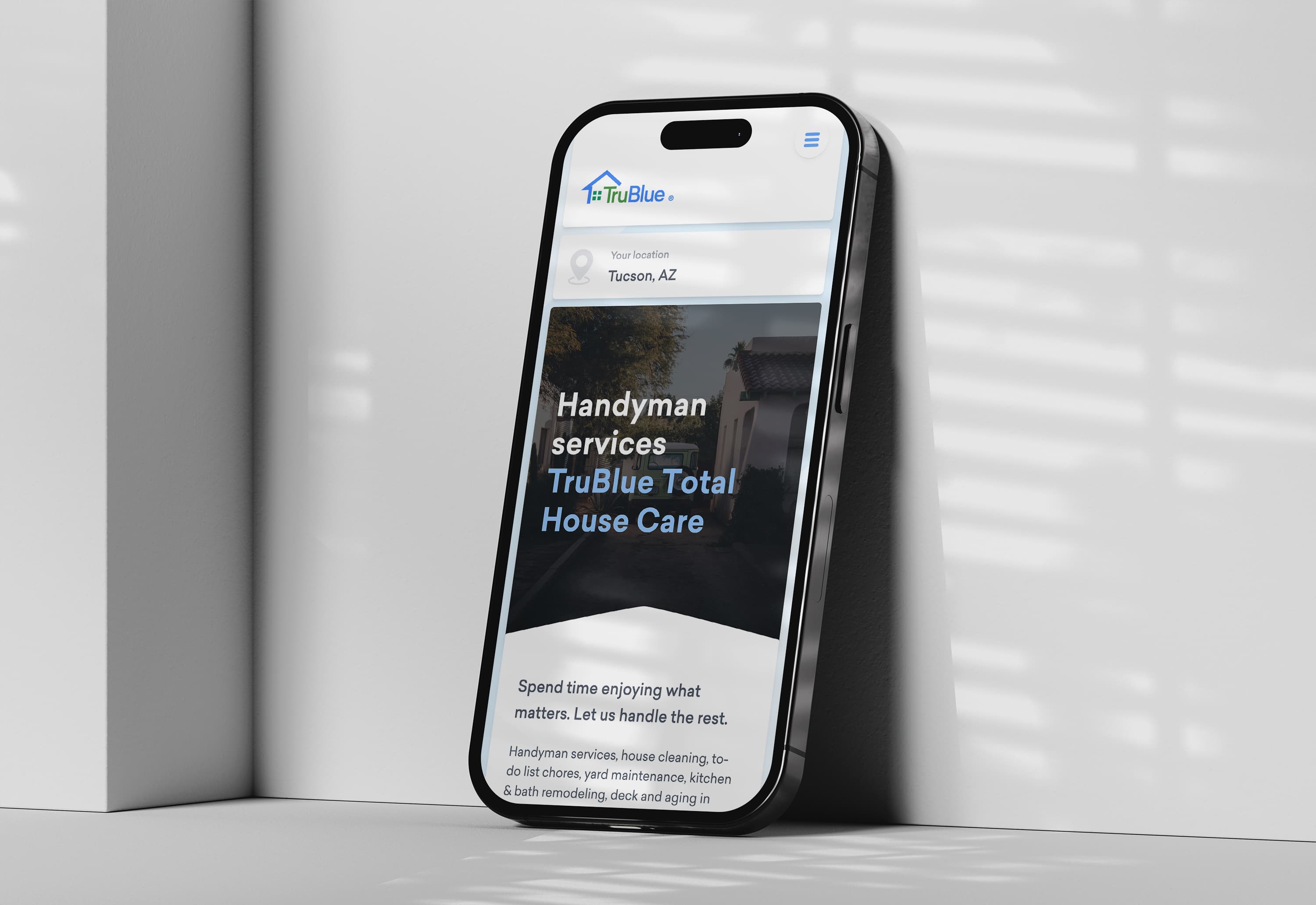 TruBlue House Care artwork